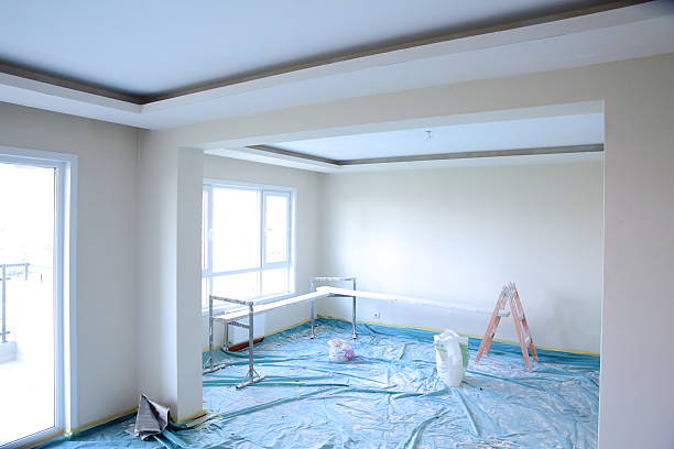 Best Painting for New Construction  in Cottage Grove, WI